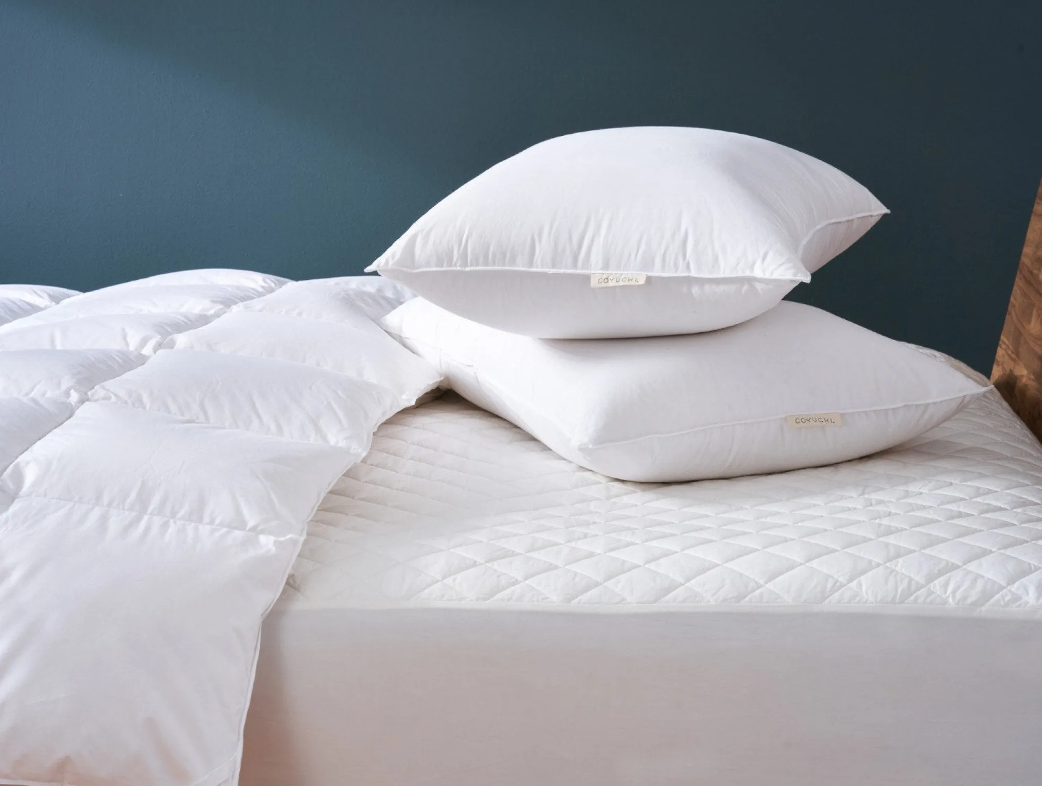 Coyuchi Down Pillow< Pillow Inserts