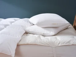Coyuchi Organic Shredded Latex Pillow< Pillow Inserts