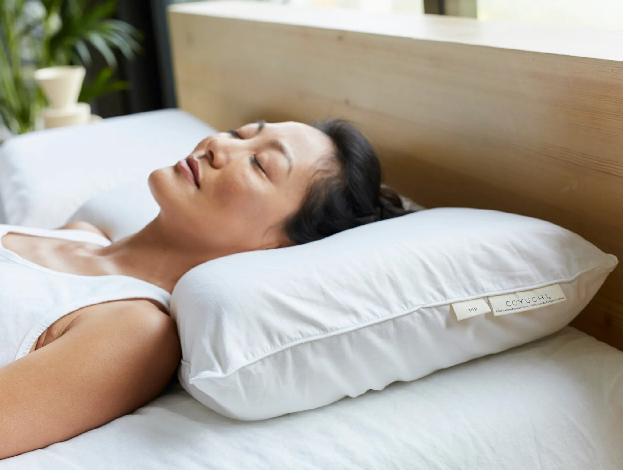 Coyuchi Turiya™ Organic Latex Pillow< Pillow Inserts